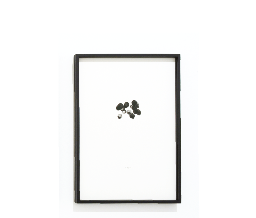 Mayura torii anthropometrie jaiuncrush - Mayura Torii