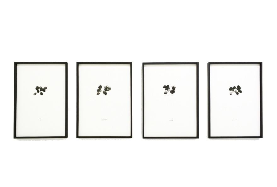 Torii mayura anthropometrie noire - Mayura Torii